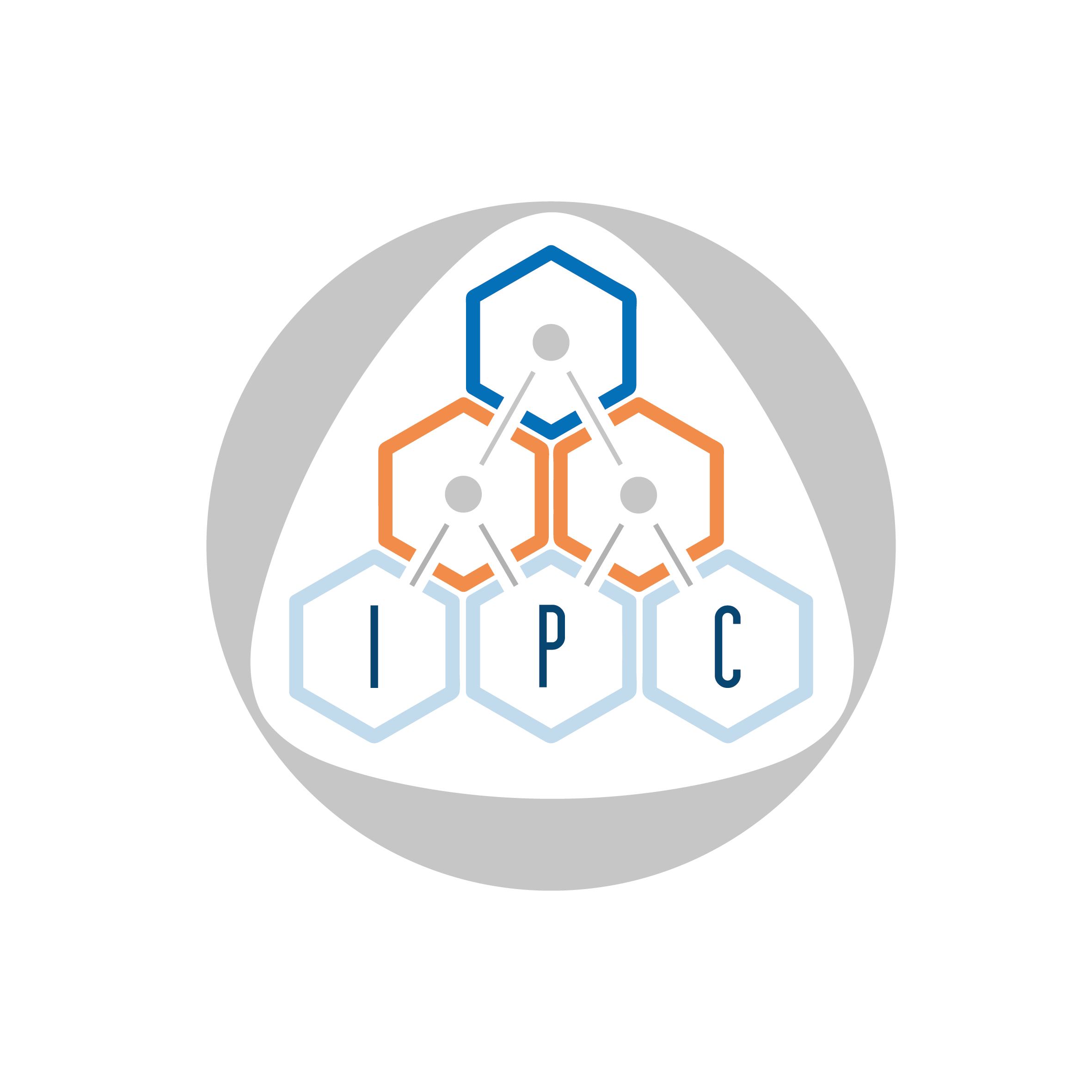International Pascal Congress